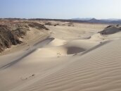 Desert #1