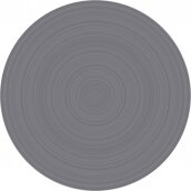 Brake disc #3
