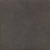 Leather #2