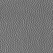 Leather #6