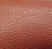 Leather #4