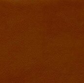 Leather #5