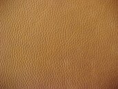 Leather #7