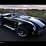 Shelby Cobra 427 / 1964